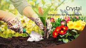  Presentation with gardening - Beautiful slides featuring gardening shovel - gardeners hands planting flowers backdrop and a yellow colored foreground