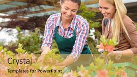  Presentation with show - Colorful PPT theme enhanced with garden center woman show flowers backdrop and a yellow colored foreground