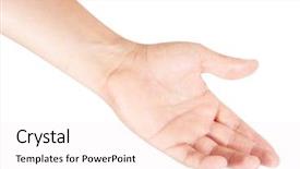  Presentation with hand palm - Beautiful PPT theme featuring show hand - open palm gesture isolated backdrop and a sky blue colored foreground