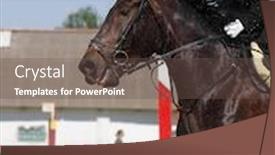  Presentation with show - Presentation design featuring show-jumper-horse-and-show background and a tawny brown colored foreground