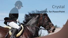  Presentation with show - Slide deck consisting of show jumper horse and show jumper background and a light blue colored foreground