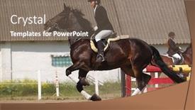  Presentation with show - Cool new PPT theme with show jumper horse and show jumper backdrop and a gray colored foreground