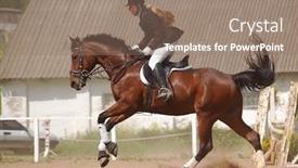  Presentation with show - Slide deck having show jumper horse and show jumper background and a coral colored foreground