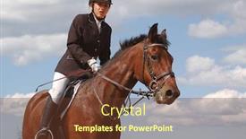  Presentation with show - Cool new presentation design with show jumper horse and show jumper backdrop and a tawny brown colored foreground