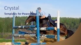  Presentation with show - Amazing slides having show-jumping refusal backdrop and a light blue colored foreground