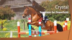  Presentation with show - Slide set having show-jumping background and a violet colored foreground