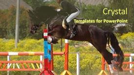 Presentation with show - Presentation theme consisting of show jumping background and a tawny brown colored foreground