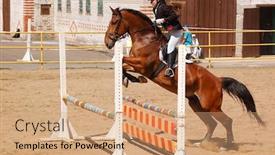  Presentation with show - Cool new PPT theme with show-jumping backdrop and a coral colored foreground