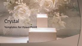  Presentation with jewelry - Audience pleasing PPT theme consisting of show window filtered image process backdrop and a coral colored foreground