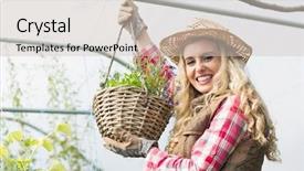  Presentation with green bananas hanging on banana - Colorful PPT theme enhanced with text weihnachtsfeier means christmas party backdrop and a lemonade colored foreground.