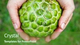  Presentation with buddha - Slides consisting of showing fresh ripe custard apple background and a  colored foreground