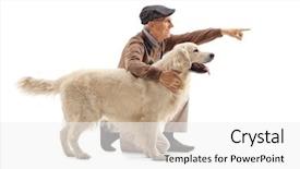  Presentation with fall prevention elderly - Cool new presentation theme with showing something to his dog backdrop and a  colored foreground