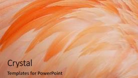  Presentation with flamingo - PPT layouts having bloodthirsty zombi standing at the night cemetery in the mist and moonlight background and a navy blue colored foreground