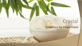  Presentation with shrimp - PPT theme with shrimp-crackers-in-bowl background and a soft green colored foreground