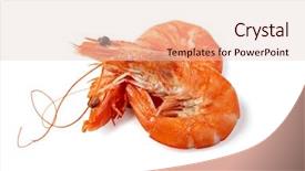  Presentation with shrimp - Amazing theme having shrimp isolated on a white backdrop and a lemonade colored foreground