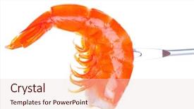  Presentation with shrimp - Slide deck having shrimp on fork over white background background and a lemonade colored foreground