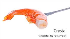  Presentation with shrimp - Slide set featuring shrimp on fork over white background background and a white colored foreground