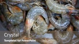  Presentation with shrimp fish - Slides with shrimp-whole-shrimp-raw-shrimp background and a violet colored foreground