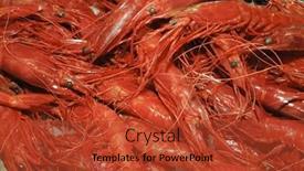  Presentation with shrimp - Amazing PPT theme having shrimp backdrop and a red colored foreground