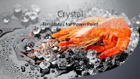  Presentation with food ice - Slide set consisting of shrimps-fresh-prawns background and a light gray colored foreground