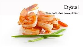  Presentation with shrimp - PPT layouts having shrimps isolated over white background and a white colored foreground