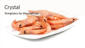  Presentation with shrimps - Slide set having boating diversity - vietnam - halong bay national background and a ocean colored foreground