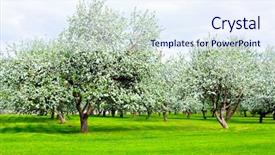  Presentation with green thumb garden - PPT theme featuring shrubbery - blooming green beautiful park garden background and a sky blue colored foreground