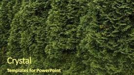  Presentation with green architecture natural marble - Colorful presentation theme enhanced with shrubbery - natural green fence background backdrop and a tawny brown colored foreground