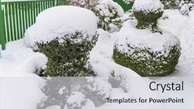  Presentation with wood - PPT theme consisting of shrubbery - snow-covered ornamental wood background and a light gray colored foreground