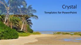  Presentation with beach - Beautiful theme featuring shrubbery - sotavento beach in fuerteventura canary backdrop and a light blue colored foreground