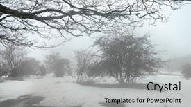  Presentation with foggy water sunrise - Colorful slide deck enhanced with shrubbery - thorny shrubs and bushes backdrop and a light gray colored foreground