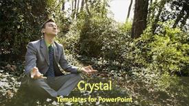  Presentation with woods - PPT layouts consisting of shrubbery - young businessman sits background and a tawny brown colored foreground