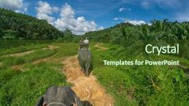  Presentation with safari - Colorful PPT layouts enhanced with siam - picturesque elephant safari during thai backdrop and a tawny brown colored foreground