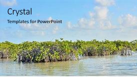  Presentation with mangrove - Audience pleasing presentation design consisting of sian ka an biosphere backdrop and a  colored foreground