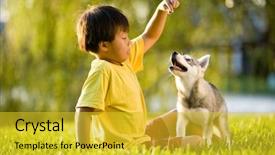  Presentation with young children playing - Slides consisting of siberian husky - young asian boy playing background and a yellow colored foreground