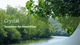  Presentation with tunnel - Presentation featuring sicao-green-tunnel-in-tainan background and a tawny brown colored foreground