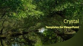  Presentation with tunnel - Presentation theme having sicao-green-tunnel-in-tainan background and a tawny brown colored foreground