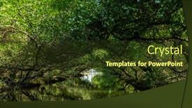  Presentation with tunnel - Theme having sicao-green-tunnel-in-tainan background and a tawny brown colored foreground