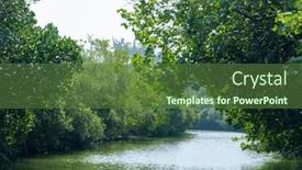  Presentation with tunnel - Slides enhanced with sicao-green-tunnel-in-tainan background and a tawny brown colored foreground