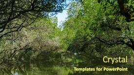  Presentation with tunnel - Presentation theme enhanced with sicao-green-tunnel-in-tainan background and a tawny brown colored foreground