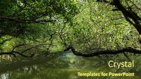  Presentation with tunnel - Presentation enhanced with sicao-green-tunnel-in-tainan background and a tawny brown colored foreground