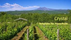  Presentation with volcano - Amazing PPT layouts having sicilian-vineyards-with-etna-volcano backdrop and a tawny brown colored foreground