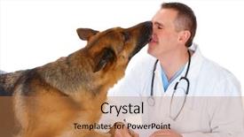  Presentation with sick dog - Audience pleasing presentation design consisting of sick animals - vet and dog isolated backdrop and a coral colored foreground