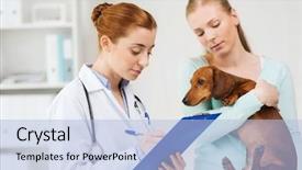  Presentation with sick dog - Presentation theme having sick patient - medicine pet care and people background and a light blue colored foreground