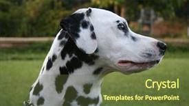  Presentation with turbine engine profile aviation technologies - Theme consisting of side profile of a dalmation background and a tawny brown colored foreground