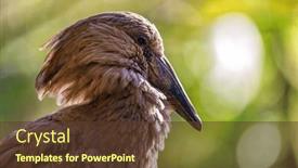  Presentation with sunshine - PPT theme with side-profile-view and a tawny brown colored foreground