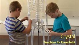  Presentation with human biology - Presentation with side-view-close-up background and a tawny brown colored foreground