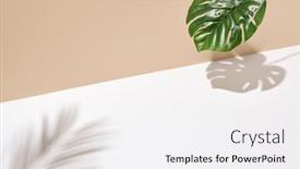  Presentation with green shadow - Audience pleasing PPT theme consisting of side-view-green-tropical-palm backdrop and a white colored foreground