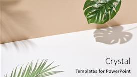  Presentation with green shadow - Audience pleasing PPT theme consisting of side-view-green-tropical-palm backdrop and a  colored foreground