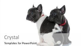  Presentation with hopeful - Presentation enhanced with side-view-of-2-hopeful background and a white colored foreground